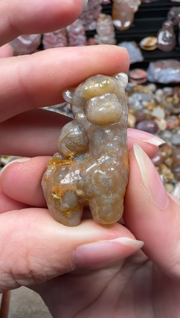 颈饰未镶嵌硅化珊瑚（珊瑚玉）320