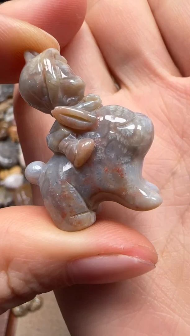 【闪购商品】硅化珊瑚（珊瑚玉）颈饰未镶嵌103