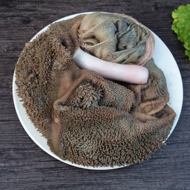 羊肚新鲜整套生肚子羊肚子按斤销售 速冻发货