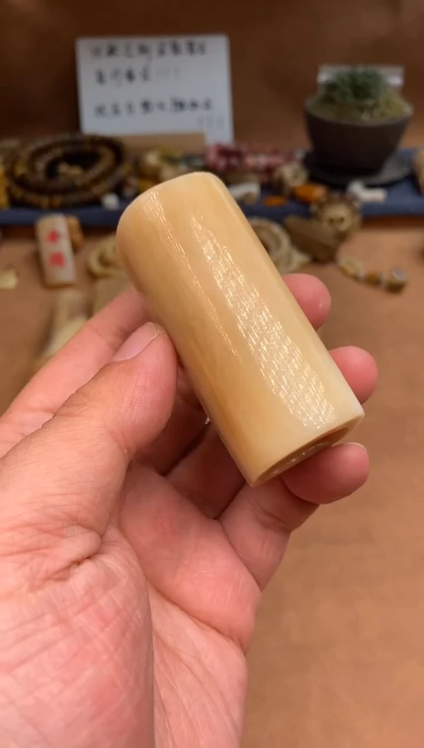 【闪购商品】驼骨其他驼骨定向V365