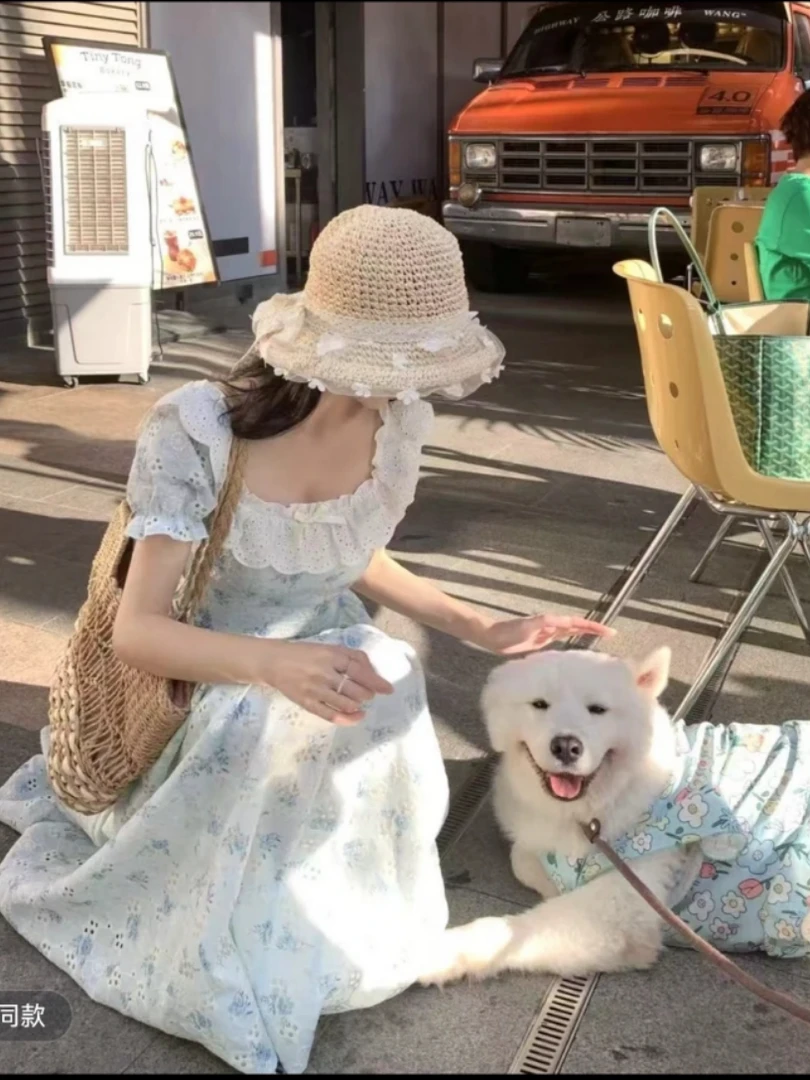 浅夏新品重工刺绣复古仙女气质甜美连衣裙遮肉短袖裙子