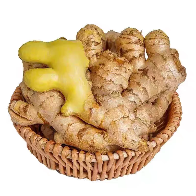 正宗云南高山小黄姜2025年新鲜现挖山地种植香味浓郁(多仓发货)