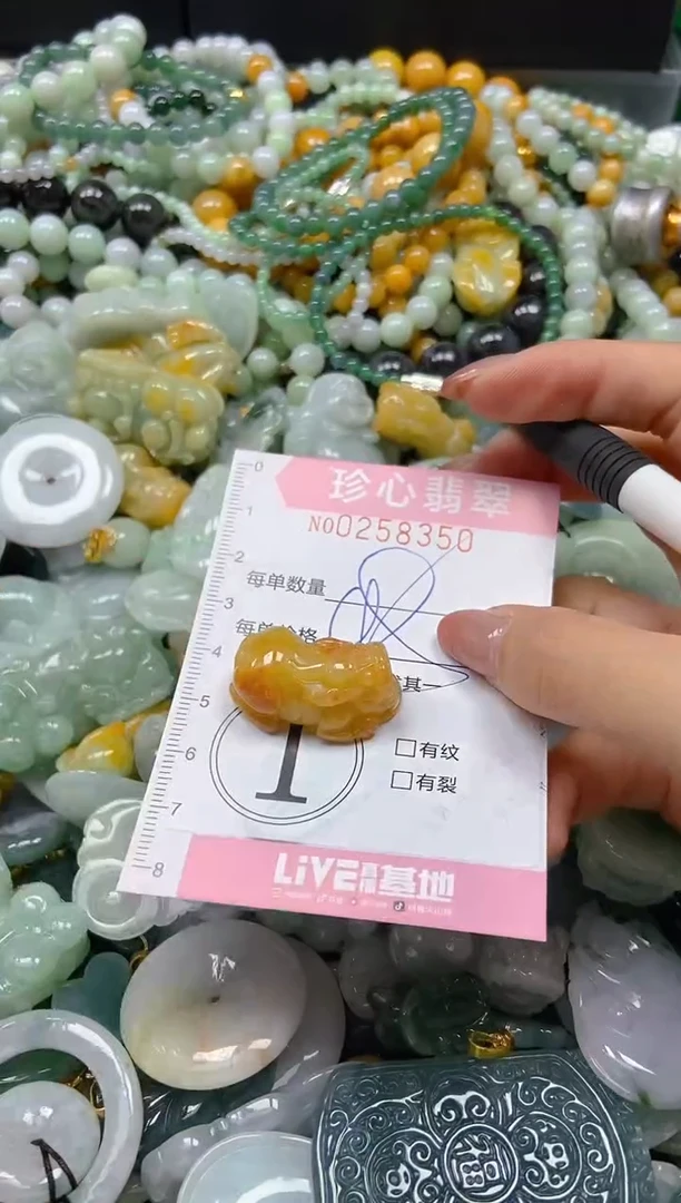翡翠未镶嵌颈饰闪购0258350