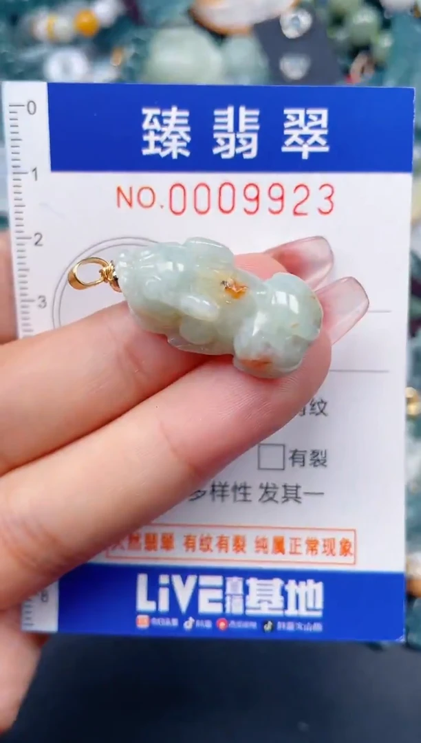 颈饰未镶嵌翡翠.0009923