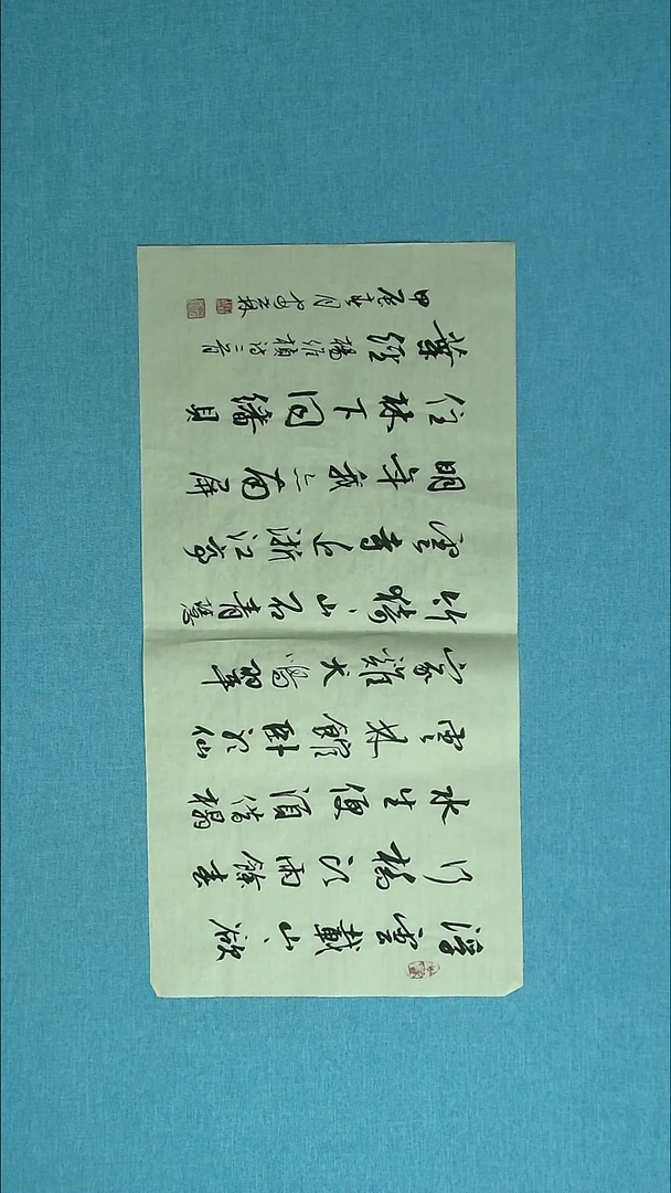 【闪购商品】书法178 甘肃安世林中书协69*34