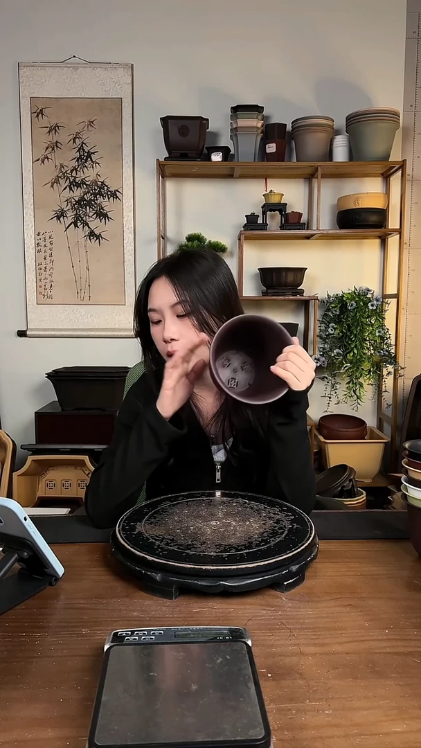 10只15口径金钟紫檀色