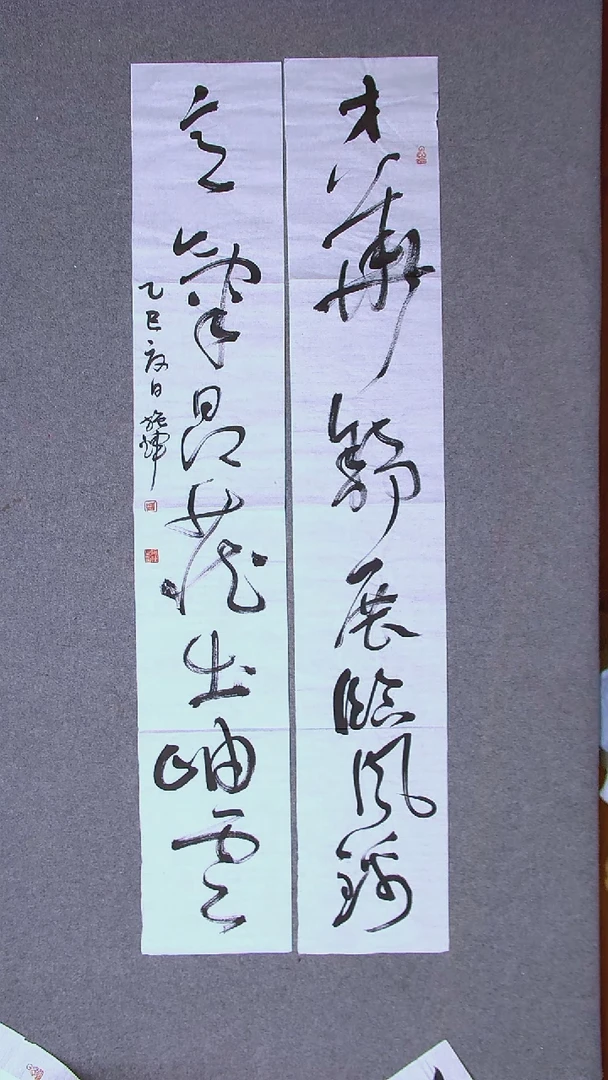 书法施辉 江西新余138*23*2对联
