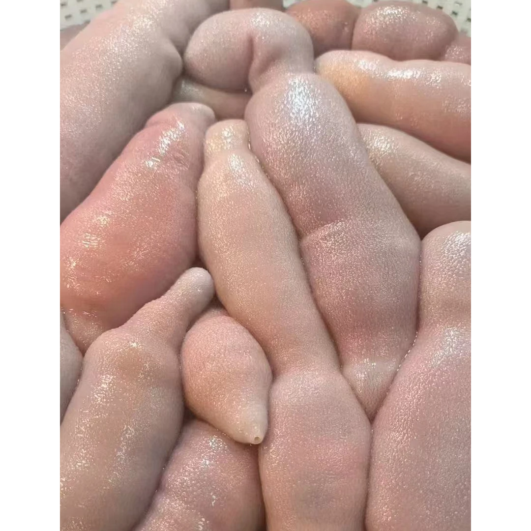 烟台大海肠野生（带水未清理内脏）保鲜不保活介意慎拍