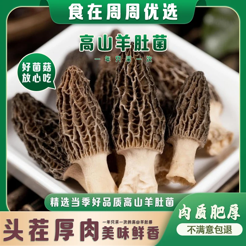 精选高山头茬羊肚菌4-8cm新鲜六妹厚肉干货菌菇食材煲汤滋补好货