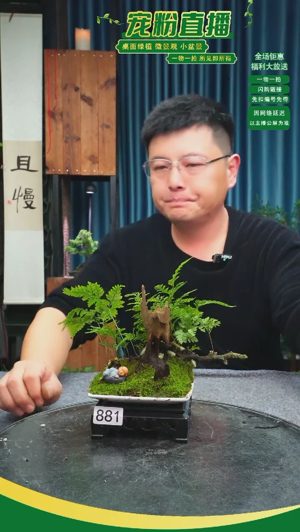 无花朵高*路苔藓微景观881号