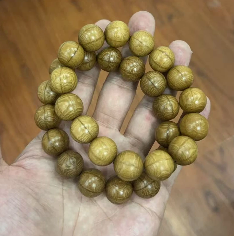 六道木15mm单圈多样性发其一