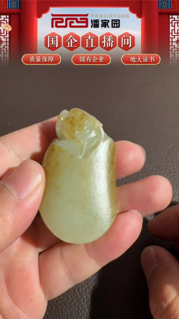 未镶嵌和田玉把件73-YX-1121-和田玉-满皮龙龟-新疆-3999-1