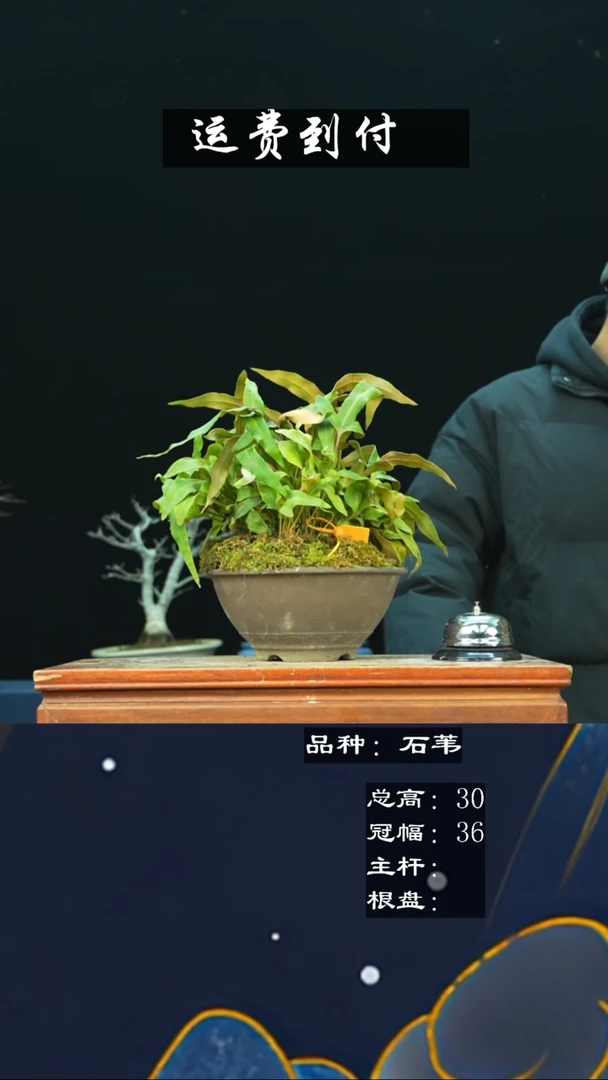 【闪购商品】无铅玻璃34250