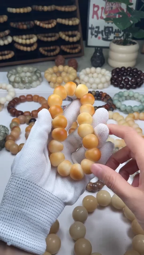 手串菩提根/象牙果菩提纯手工干磨蒜瓣大肠单圈