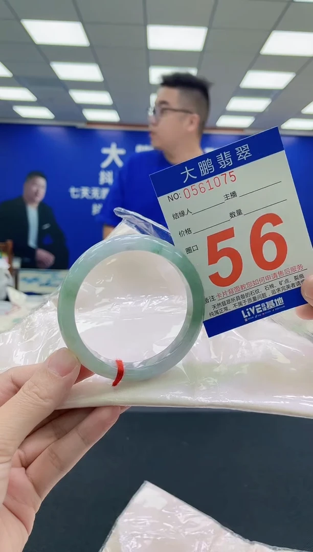 未镶嵌手镯翡翠AAAAAAAAA