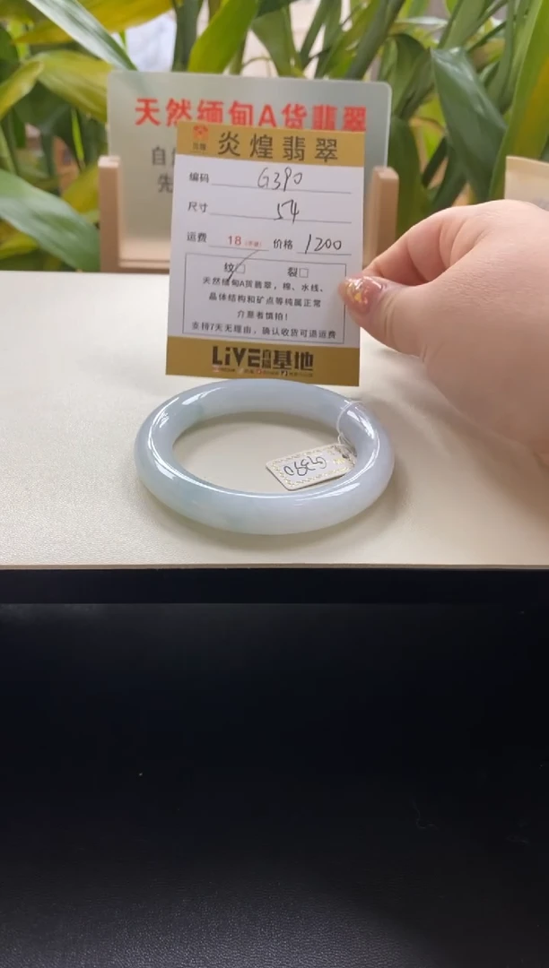 未镶嵌手镯翡翠54圈口编码g390