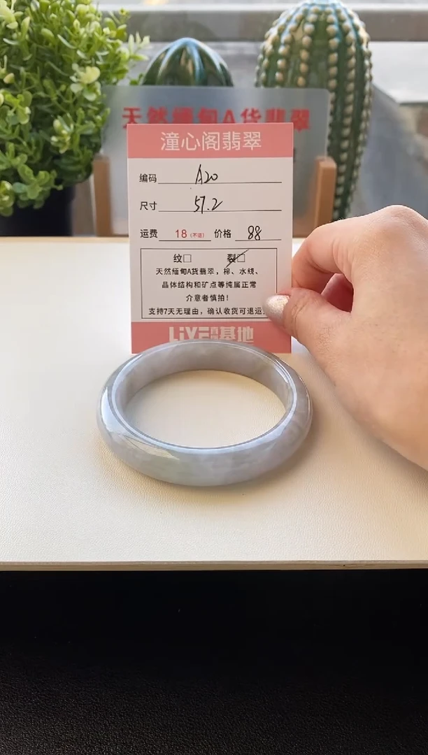 颈饰未镶嵌翡翠圈口57.3编码A20