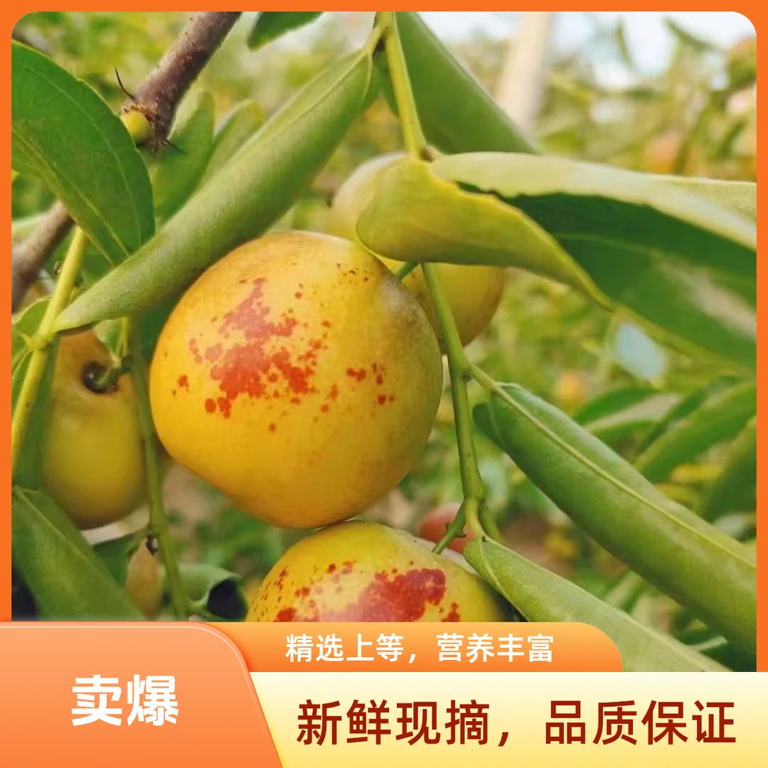 产地直发新鲜冬枣现摘现发香甜脆爽优质水果