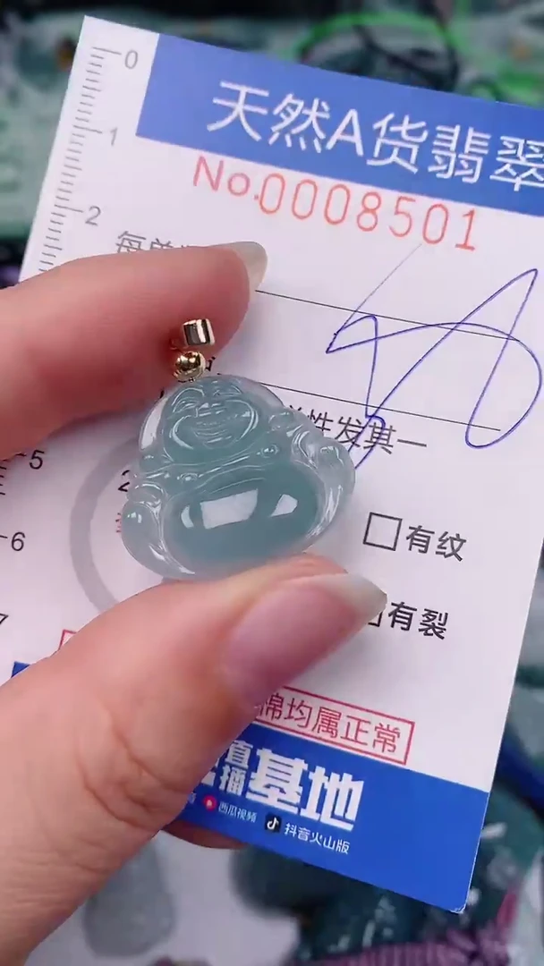 【闪购商品】翡翠颈饰未镶嵌00008501