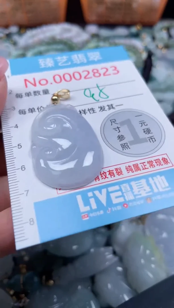 颈饰未镶嵌翡翠2823