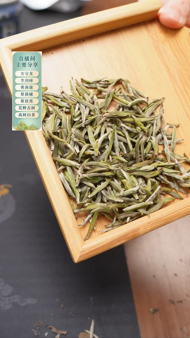 2025年太姥山炭焙特级银针500克