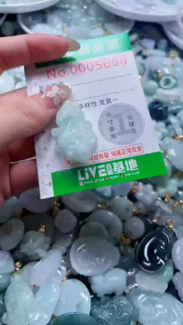 吊坠(不含链)未镶嵌翡翠5666