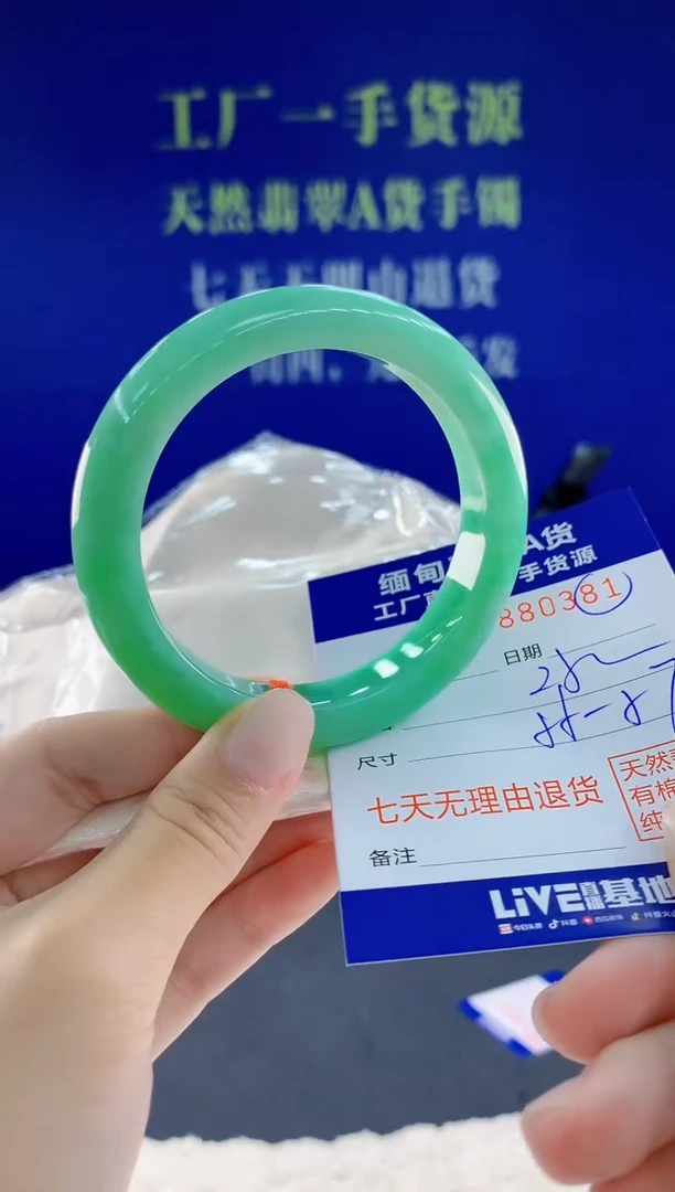 未镶嵌手镯翡翠81