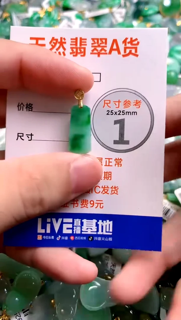 颈饰未镶嵌翡翠14006661
