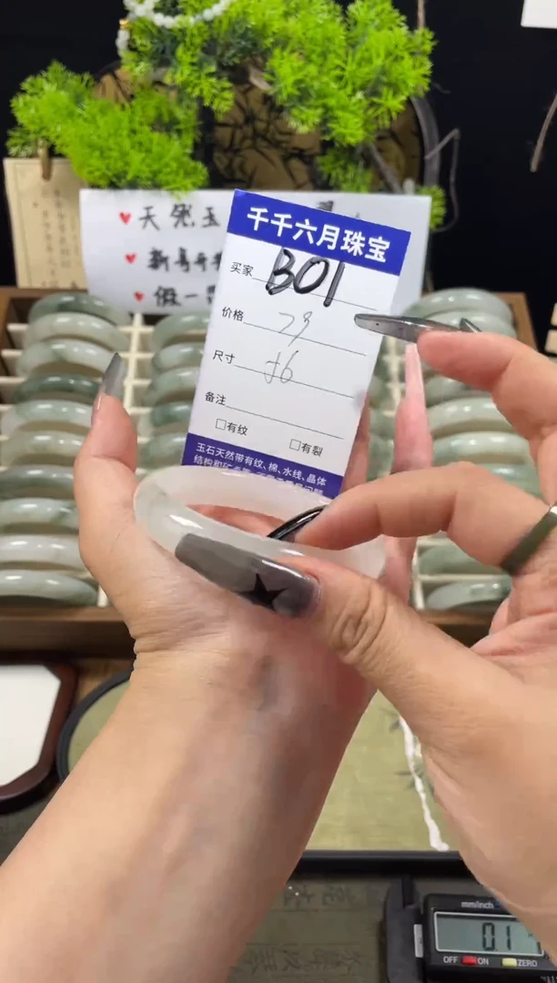 石英质玉（天山翠）手镯未镶嵌b01