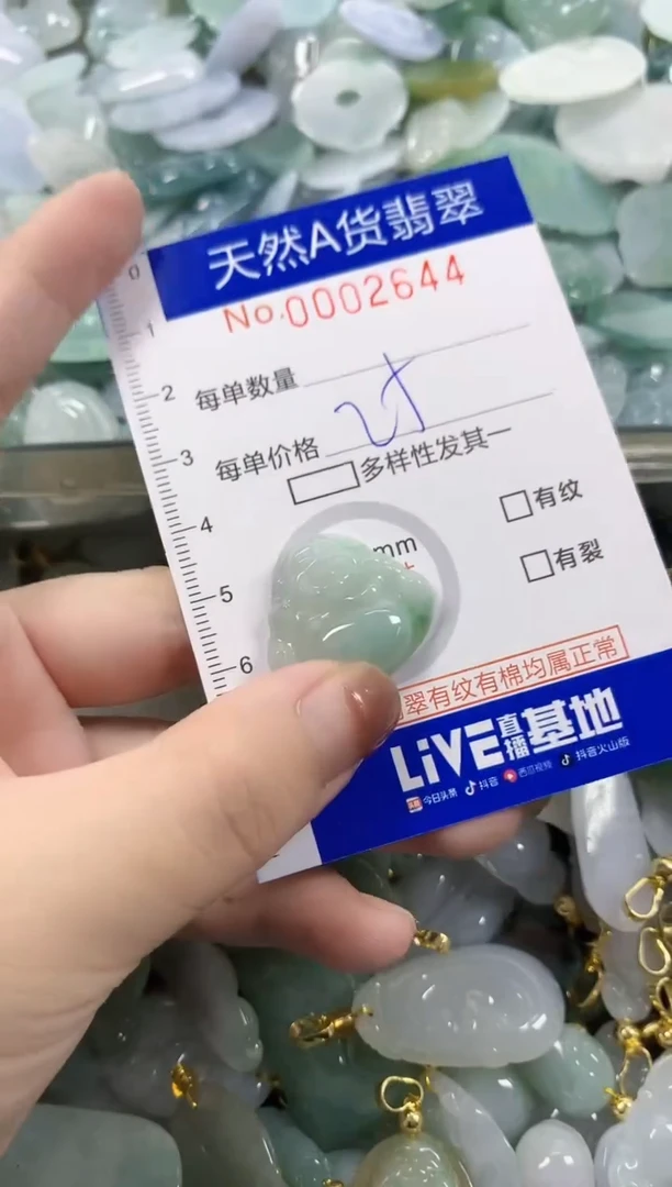 颈饰未镶嵌翡翠天然A货翡翠