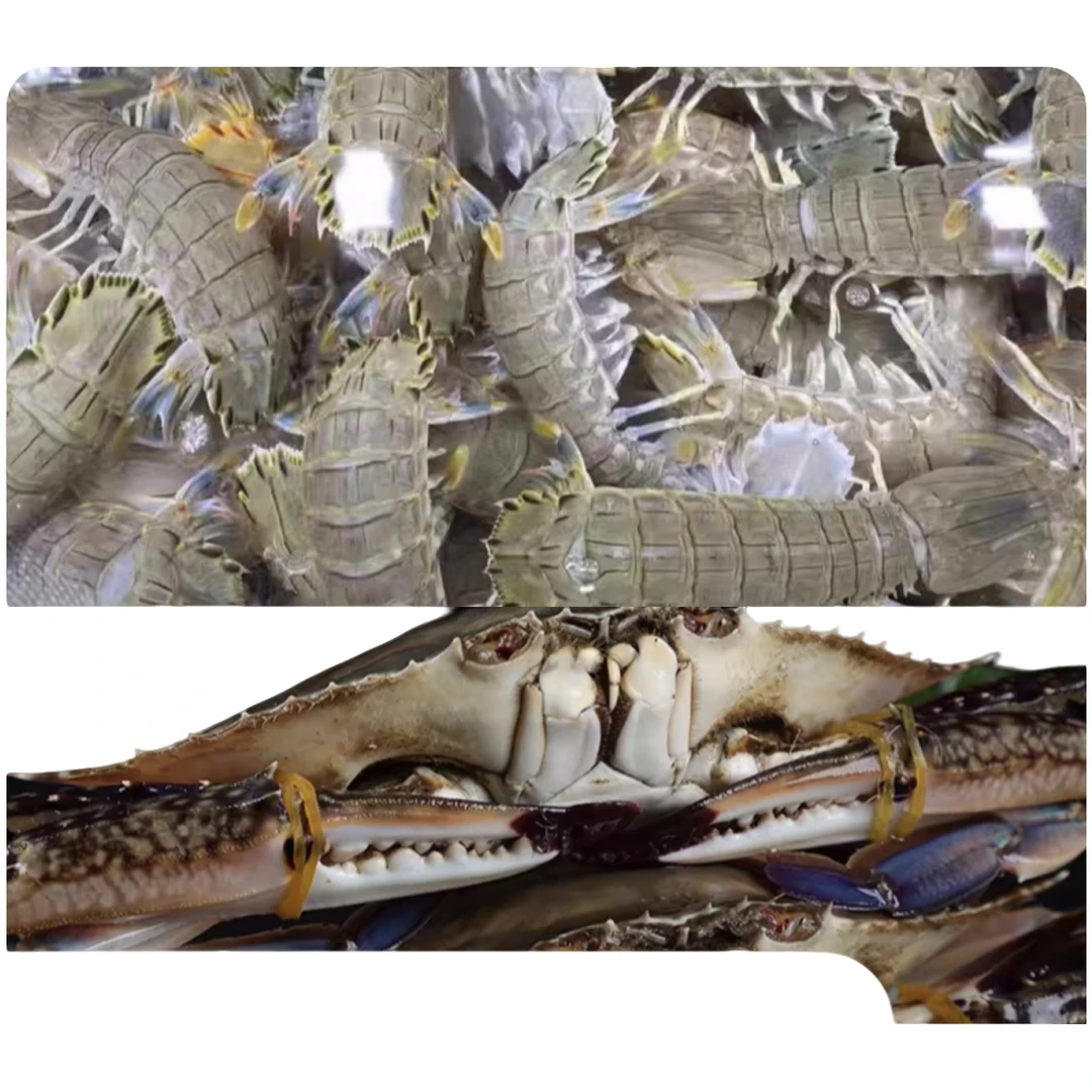 鲜活皮皮虾+梭子蟹混搭装【保鲜不保活】掉腿属于正常）0只两2斤-6斤