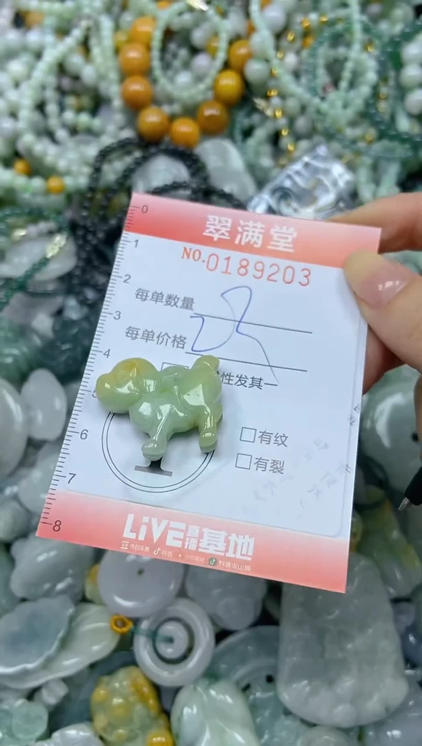 颈饰未镶嵌翡翠闪购0189203