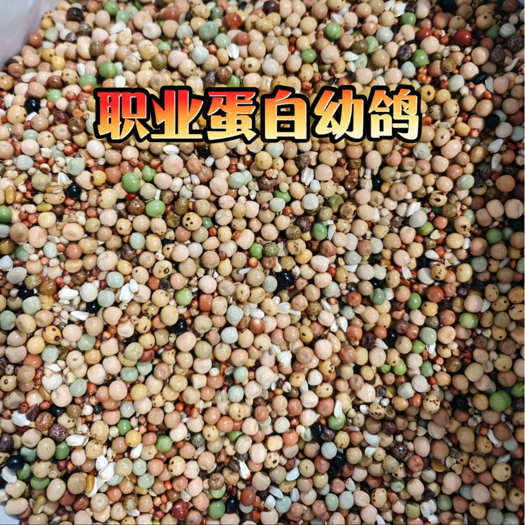 宏冠鸽粮  职业蛋白幼鸽50斤包邮装幼鸽信鸽赛鸽种鸽观赏鸽鸽粮