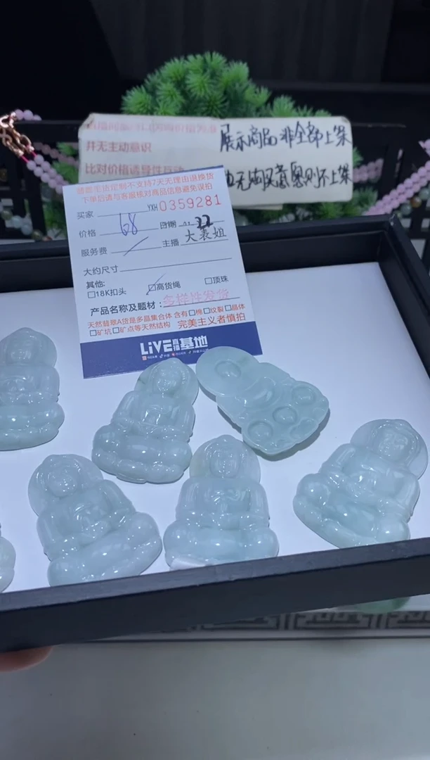 【闪购商品】翡翠颈饰未镶嵌多样性发其一359246