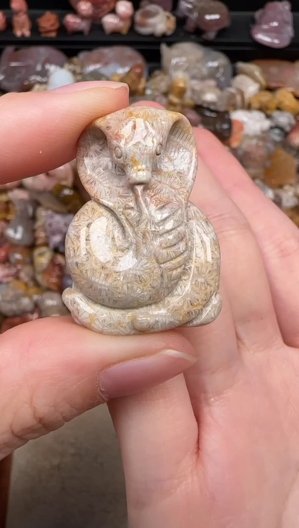 硅化珊瑚（珊瑚玉）未镶嵌颈饰701