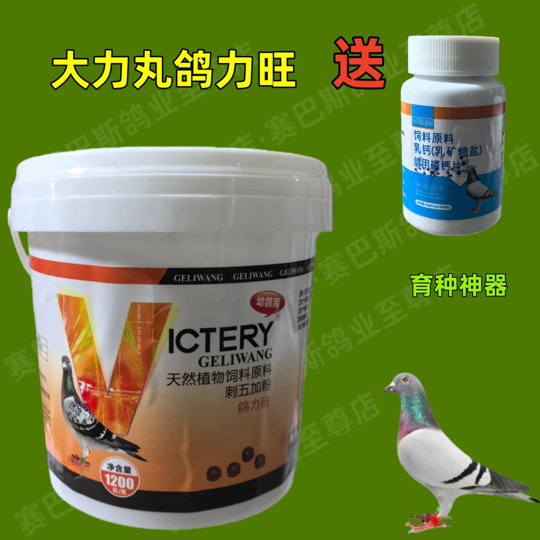 汉诺威鸽力旺大力丸赛鸽信鸽子育雏宝幼鸽丸赛鸽比赛补体用品用具