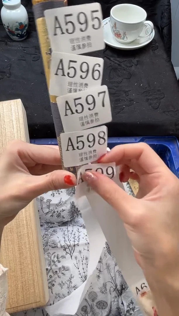 瓷片       A596