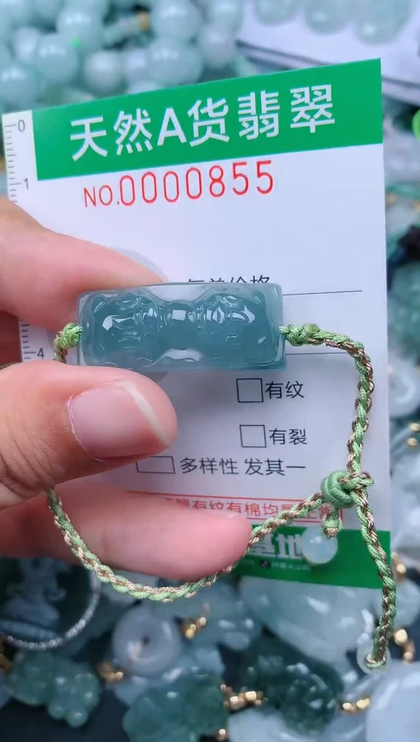 翡翠未镶嵌颈饰.0000855