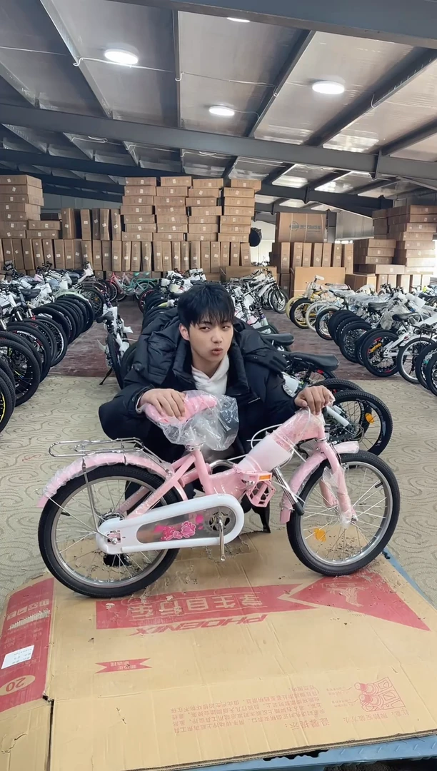 18寸-单速-粉-座【默认微瑕，不退不换，介意勿拍】