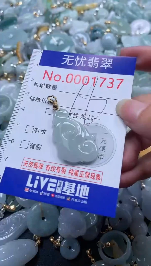 翡翠未镶嵌吊坠(不含链)1737