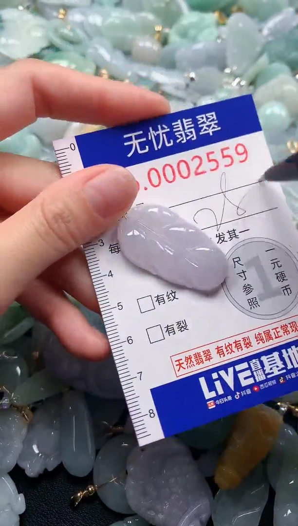 颈饰未镶嵌翡翠2559