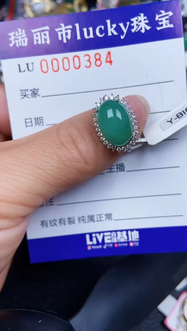 翡翠银S925镶嵌颈饰0384