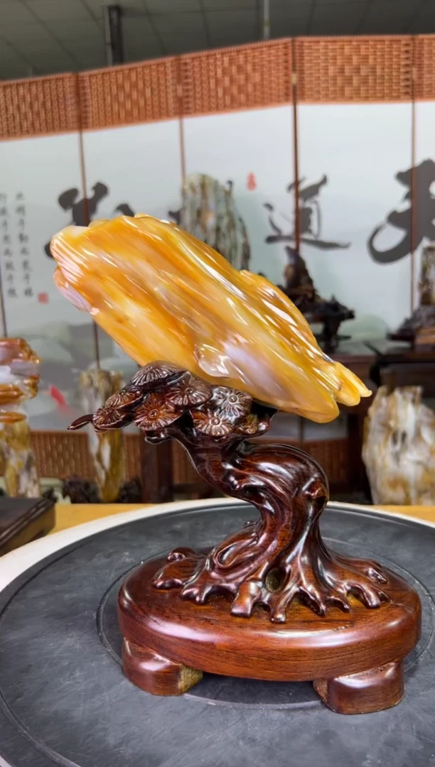 未镶嵌珠宝奇石硅化玉9