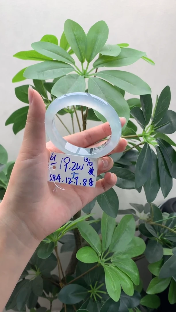 未镶嵌手镯翡翠J**n翡翠手镯#61 圈口58 订金