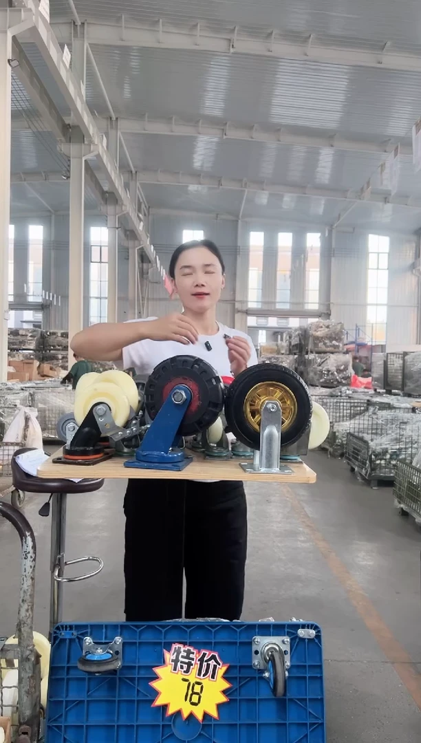 鱼乐专属8寸大花胶万向*4黑色金胶8寸万向*4