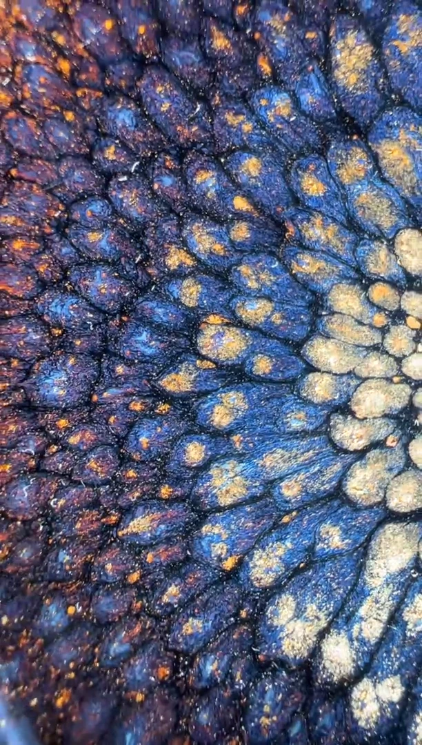 其他何定欣精品分享18