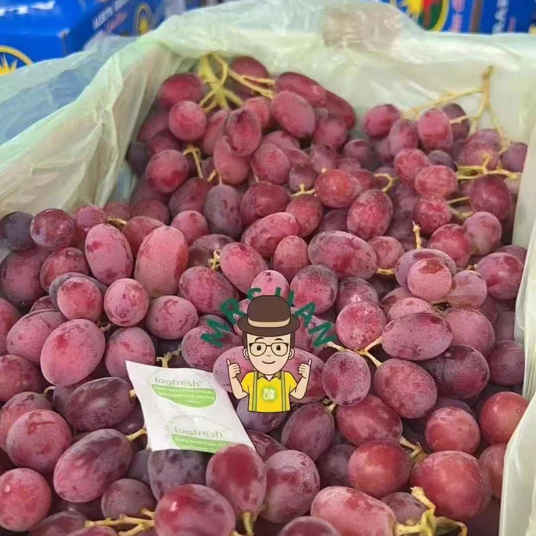 澳洲无籽小红提 500克红提