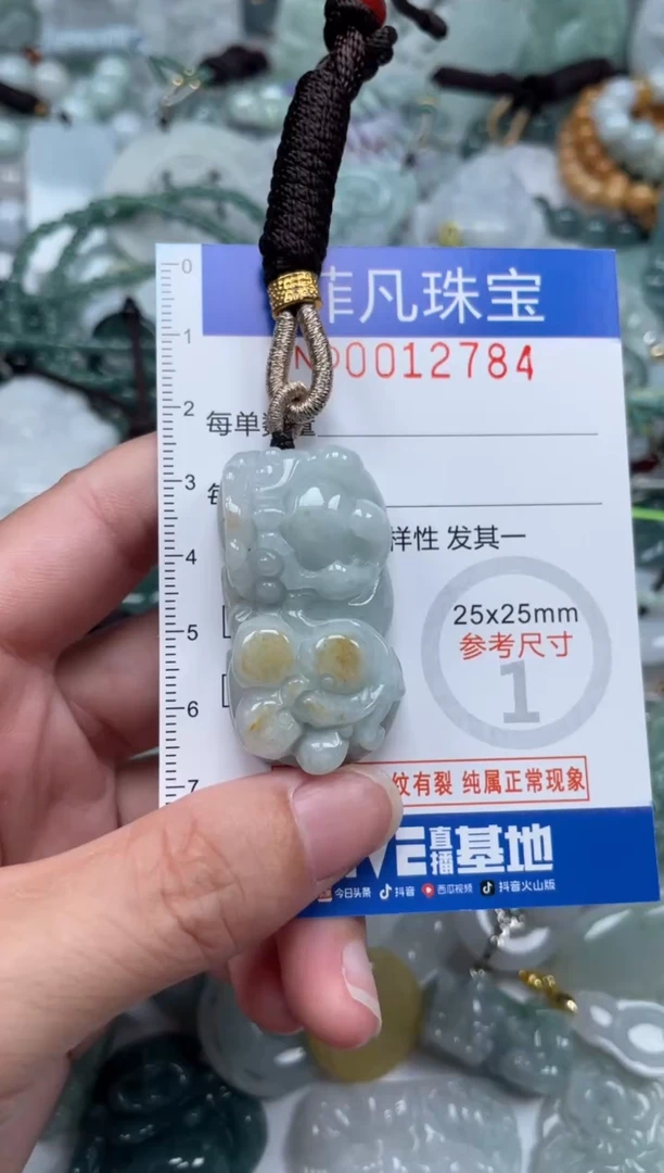 颈饰未镶嵌翡翠12784