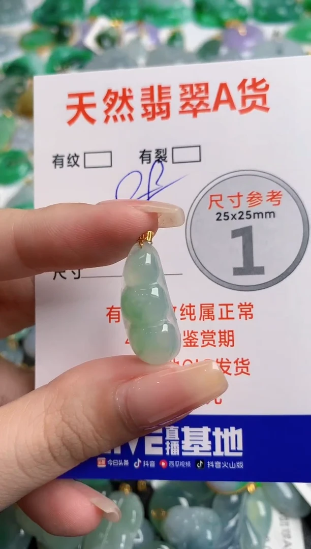 翡翠18K金镶嵌颈饰13002843