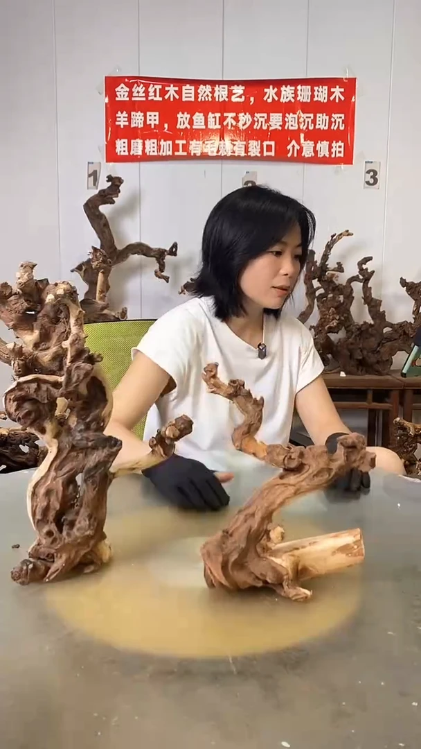 香榧木N****和金丝红木   羊蹄甲